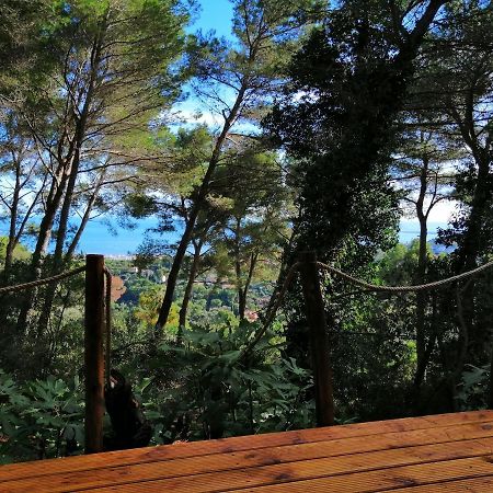 Cabane Azur Mountain Vallauris Exteriör bild