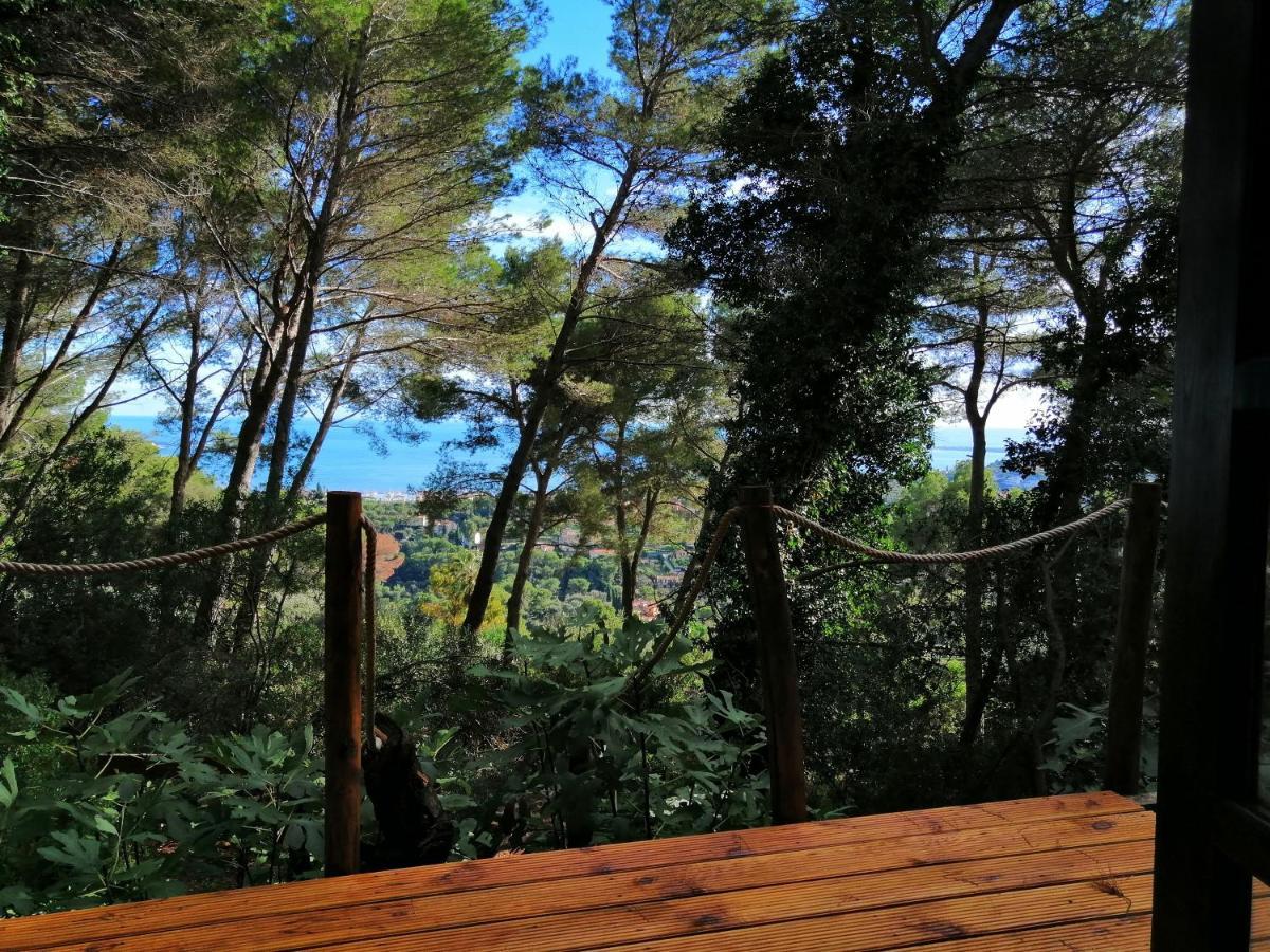 Cabane Azur Mountain Vallauris Exteriör bild